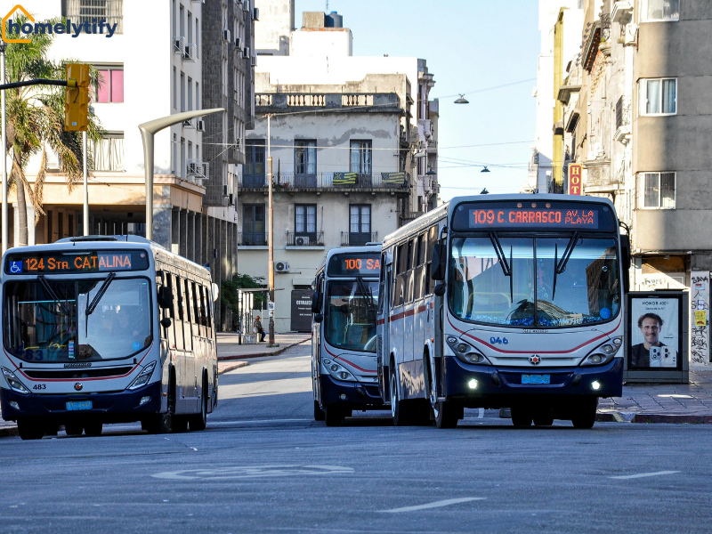 Public transport buses on a busy city street are a budget-friendly transport option for reducing household expenses